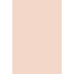 Power Base Cover Nude