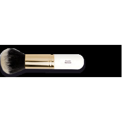 Pincel Powder Remover
