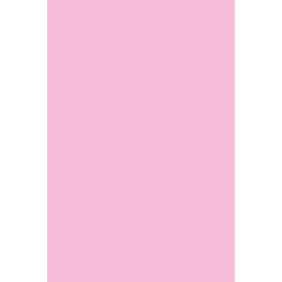 Hypoallergenic 13