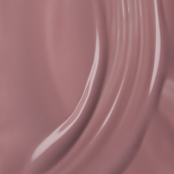 The Gel Polish G07