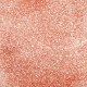 BIOGLITTER 06, 2.5G - ROSA CLARO 0.4MM