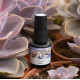 VERNIZ GEL INOCOS FL3 À FLOR DA PELE, 15ML