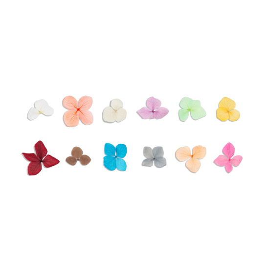 NAIL FLOWERS INOCOS WINE EDITION - FLORES SECAS NAIL ART