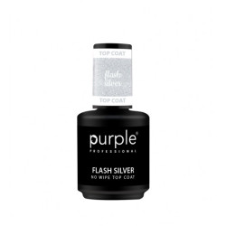 FLASH SILVER NO WIPE TOP COAT