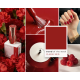 Gel Polish 010 Charm 10 ml