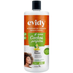 Humidificador Evidy Cachos Óleos Naturais 1000 ml