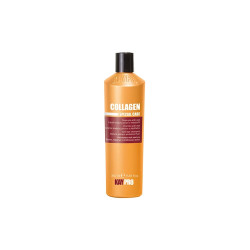Shampoo Kaypro Collagen Cabelos Enfraquecidos e Porosos 350 ml