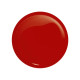 GEL POLISH 443 Timeless Red 8ml
