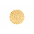 Esponja