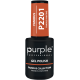 Gel Polish Famous Painting 10ml