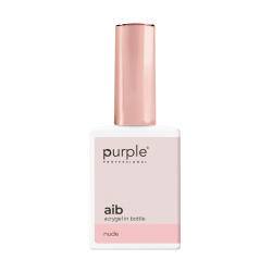 AIB - Acrygel In Bottle Nude